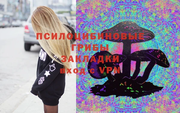 соль ск Алексеевка