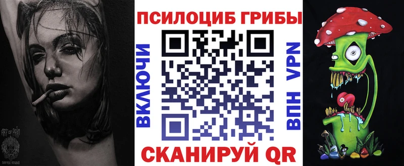 Псилоцибиновые грибы Psilocybe  это формула  Заволжск 